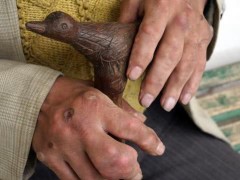 开云电竞app下载安装