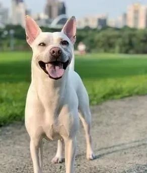 开云电竞app下载安装