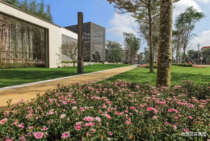 开云电竞app下载安装