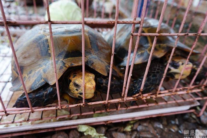 开云电竞app下载安装