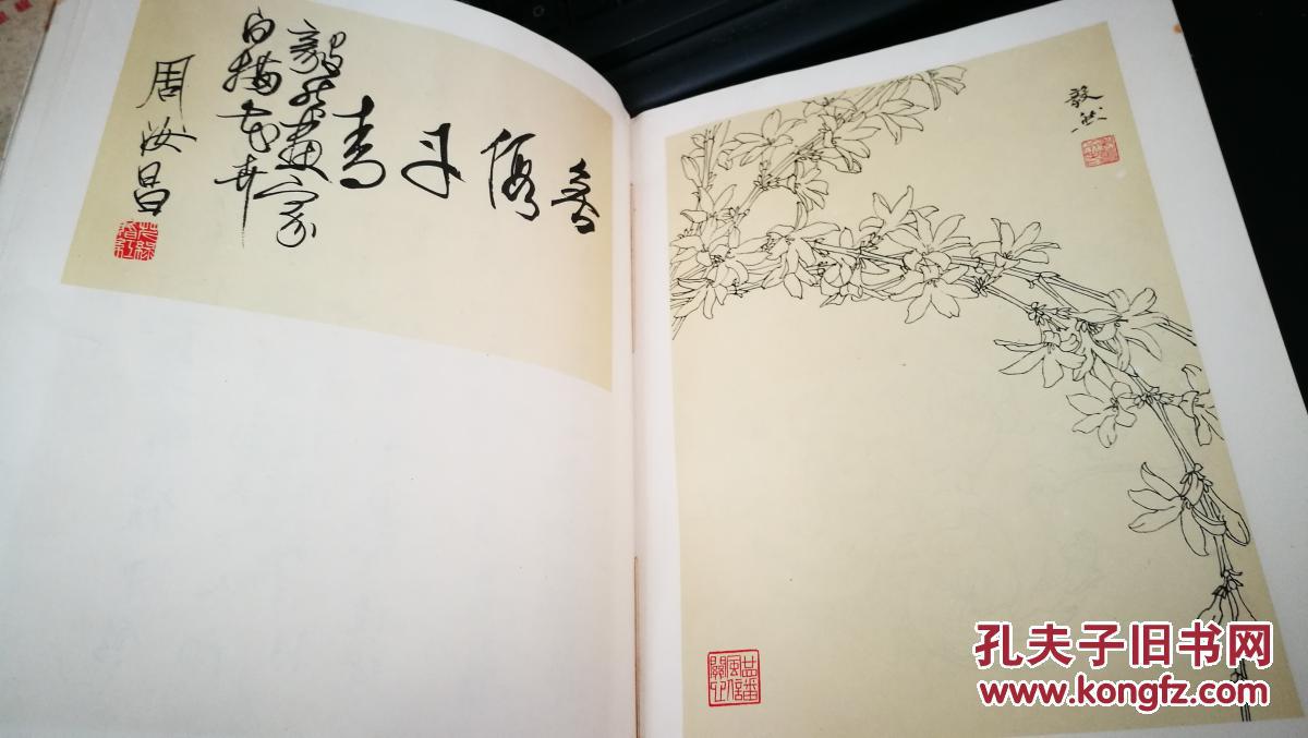 开云电竞app下载安装