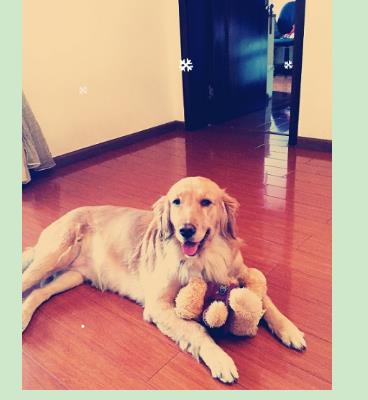 开云电竞-橙红年代刘子光为什么消失八年?畏罪潜逃却丢失八年记忆(图1) 开云电竞