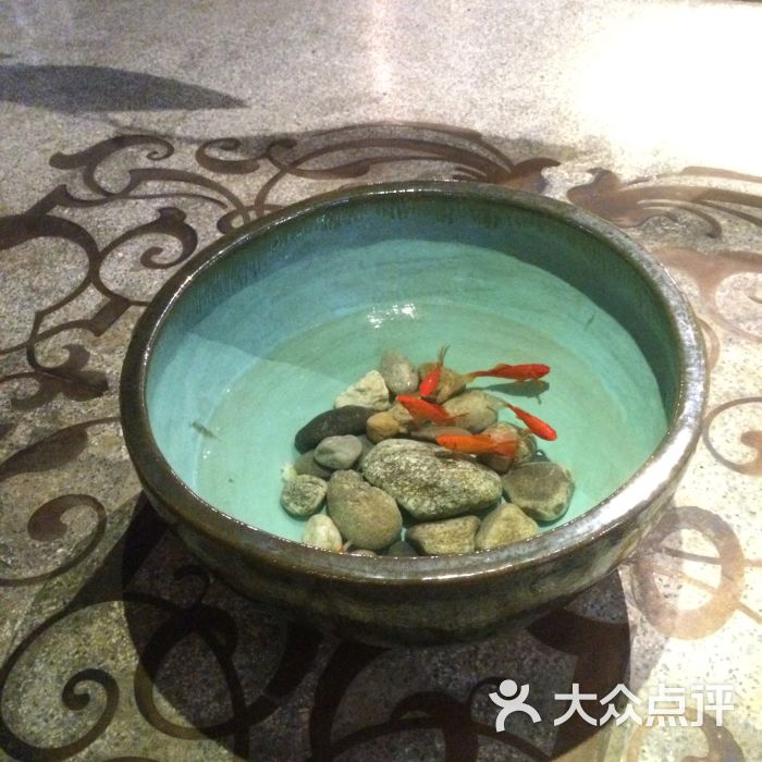 FIBA最新排名:中国男篮列世界第28 亚大区落伍伊朗等3队“开云电竞”(图10) 开云电竞官网