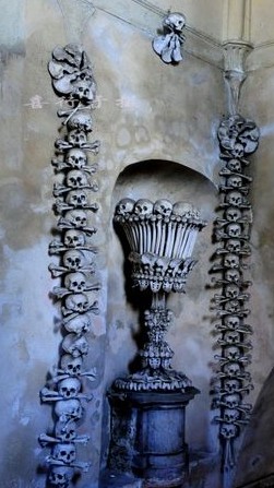 开云电竞app下载安装