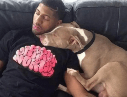 开云电竞官网-
球星养的“奇葩”宠物？猪和骆驼不算啥 乔治的狗竟然叫“科比”(图7)